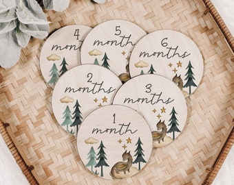 Baby Milestone Markers Month to Month Engraved Wood Cutout Wood Baby Milestone Monthly Milestone Picture Prop New Baby Gift Baby Shower Gift