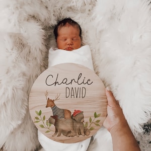 Baby Name Sign for Hospital, Door Hanger Boy, Woodland Birth Stats, Wooden Baby Announcement Name Sign, Newborn Photo Prop, New Baby Sign
