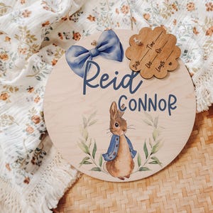 Hospital Door Hanger Boy, Mr. Rabbit Hospital Name Sign, Woodland Door Hanger, Baby Doorhanger, Nursery Name Sign, Newborn Birth Stats