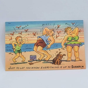 Humor Just to let you know everything is up to scratch Vintage Blank Postcard Funny Humor Postcard Thinking of You Postcard image 1