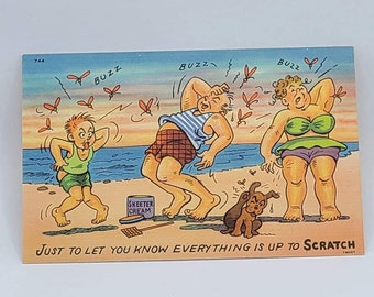 Humor “Just to let you know everything is up to scratch!” Vintage Blank Postcard - Funny Humor Postcard - Thinking of You Postcard
