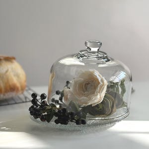 Vintage Clear Glass Dome with Icicle Frost Glass Plate