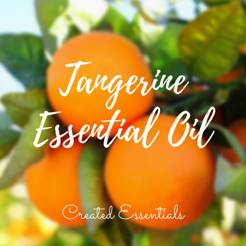 Tangerine Essential Oil Pure Therapeutic Tangerine Essential Oil Essential Oil of Tangerine Aromatherapy Oil image 5