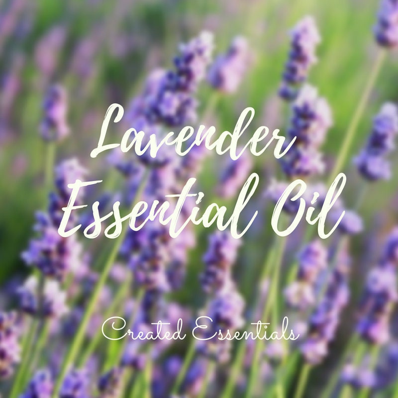 Lavender Essential Oil High Altitude & Wildcrafted Lavender - Etsy