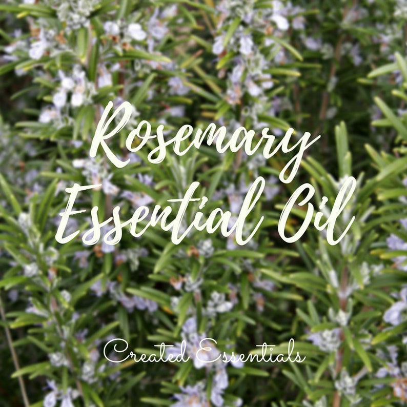 Rosemary Essential Oil Organic Rosemary Essential Oil 100 Etsy