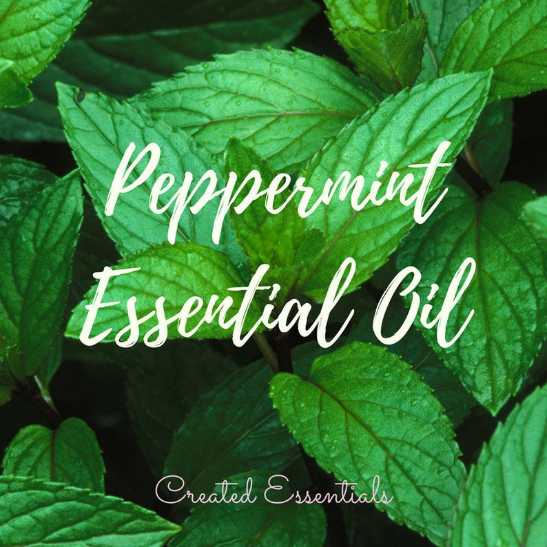 Peppermint Essential Oil Organic Essential Oil of Peppermint Etsy