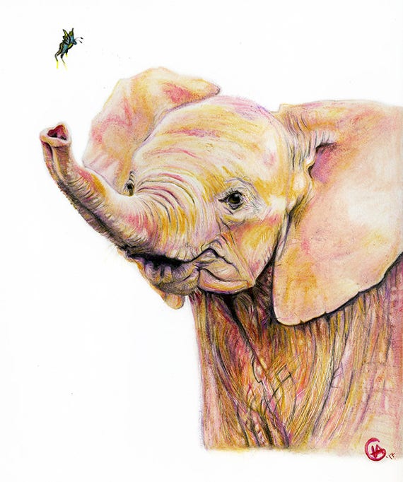 Pink Baby Elephant Print Fine Art Print Baby Elephant Etsy
