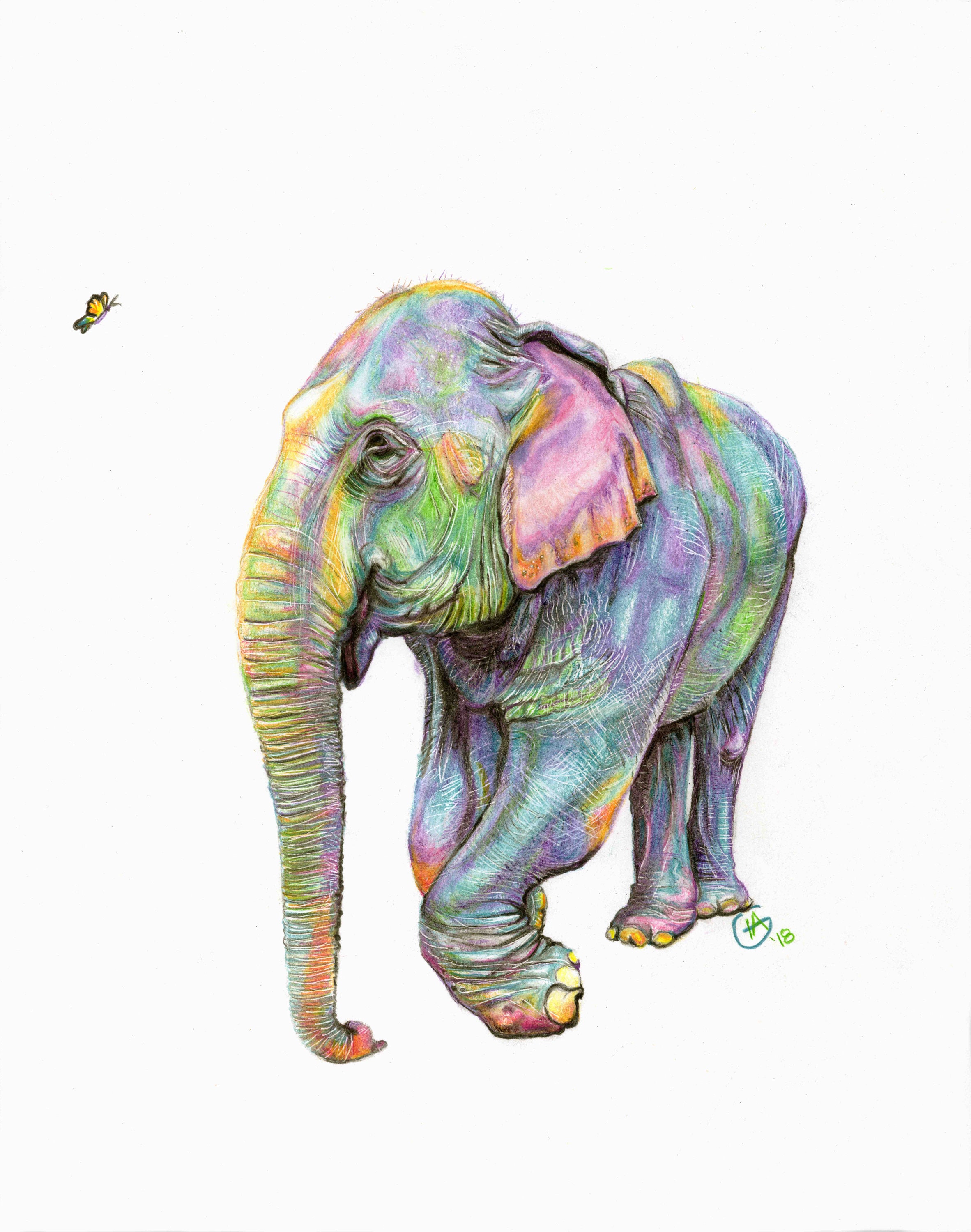Charming Rainbow Kabu Painting Happy Granny Elephant Drawing Etsy