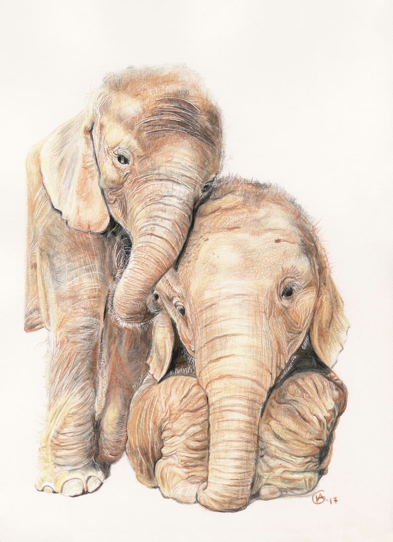 Baby Elephant Fine Art Print Elephant Art Baby Shower Gift Etsy