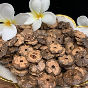 LOOSE Coconut Flower Shell Rings Lei Making Crafts DIY Project Coco Flower Shells Natural Coconut Shell Coco Flower Shell Rings BROWN 25 pcs