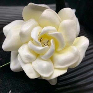 Puede incluir: Una flor de color crema con m&uacute;ltiples capas de p&eacute;talos redondeados y superpuestos dispuestos en forma circular. El centro de la flor presenta p&eacute;talos estrechamente enrollados y estambres oscuros y finos, creando una estructura densa.