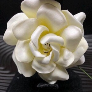 Puede incluir: Un broche de flor de gardenia color crema con m&uacute;ltiples p&eacute;talos redondeados y superpuestos dispuestos en un patr&oacute;n circular denso. El centro de la flor revela peque&ntilde;os detalles de estambres de color marr&oacute;n oscuro entre los p&eacute;talos internos.