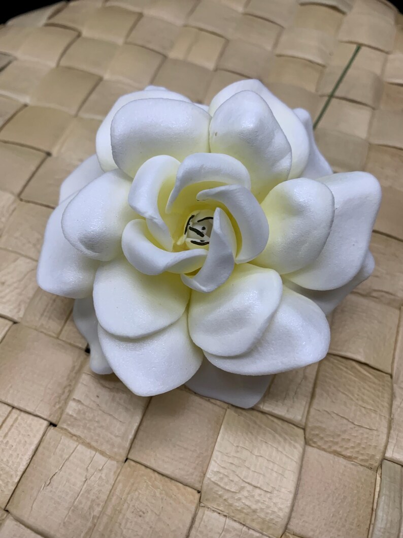 Puede incluir: Una flor de gardenia blanca con p&eacute;talos redondeados en capas y un centro de color amarillo crema suave. La flor presenta una estructura densa de m&uacute;ltiples p&eacute;talos con una textura lisa y mate, que irradia desde un peque&ntilde;o n&uacute;cleo con manchas oscuras.