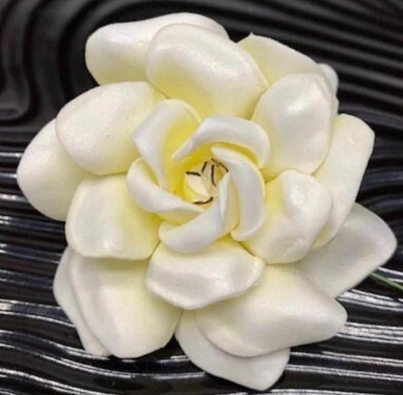 Puede incluir: Una flor de gardenia de color crema con m&uacute;ltiples p&eacute;talos redondeados y superpuestos. El centro de la flor presenta estambres finos y de color marr&oacute;n oscuro visibles dentro de los p&eacute;talos internos, creando una apariencia floral suave y realista.