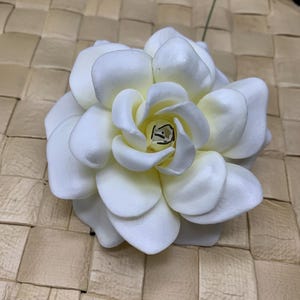 Puede incluir: Una flor de gardenia blanca con p&eacute;talos redondeados en capas y un centro amarillo p&aacute;lido. La flor tiene una textura suave y mate, con un &uacute;nico tallo verde fino que se extiende desde la parte posterior, mostrando un dise&ntilde;o floral realista con curvas.