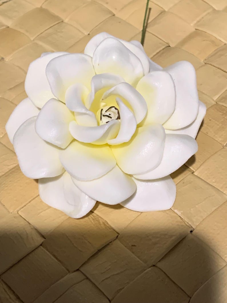 Puede incluir: Una flor de gardenia blanca con p&eacute;talos redondeados y superpuestos que se tornan de un tono amarillo p&aacute;lido hacia el centro. La flor presenta un peque&ntilde;o detalle oscuro y texturizado en su n&uacute;cleo y un tallo verde fino en la parte posterior.