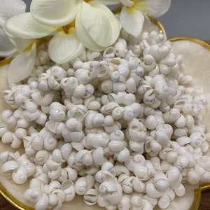 LOOSE Mongo Shell Rings Lei Making Crafts DIY Projects WHITE