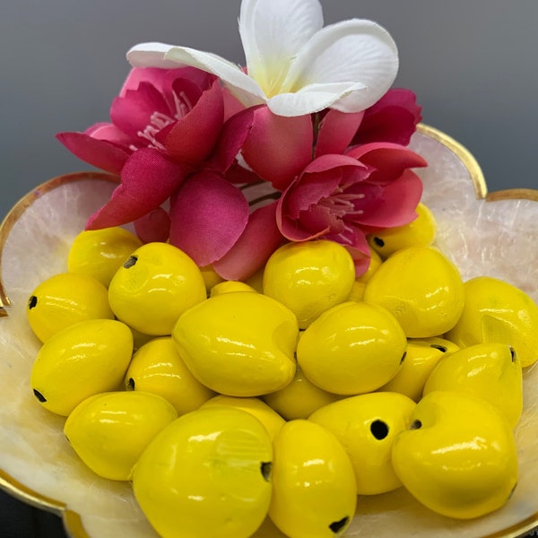 LOOSE Kukui Nuts  Hawaiian Kukui Nuts Loose for Lei Making and Kukui Nut Crafts YELLOW 10 pcs