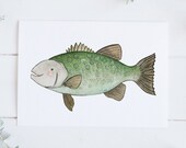 Sea Bass Print - EcoFriendly, Eco, Green, Recycled, Gives Back, Wildlife Conservation, Whales, Watercolor, Ocean, Marine, Animals