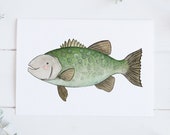 Sea Bass Print - EcoFriendly, Eco, Green, Recycled, Gives Back, Wildlife Conservation, Whales, Watercolor, Ocean, Marine, Animals