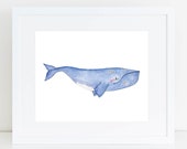 Right Whale Print - EcoFriendly, Eco, Green, Recycled, Gives Back, Wildlife Conservation, Whales, Watercolor, Ocean, Marine, Animals