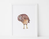 Burrowing Owl Art Print: Eco-Friendly Wildlife Illustration