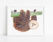 Two-Toed Sloth Art Print: Eco-Friendly Nursery Decor, Red + Wolf Illustration