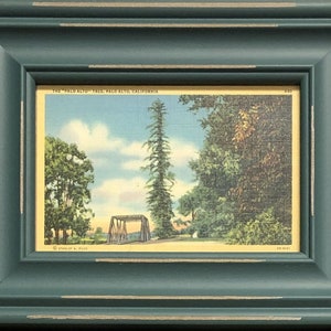 Stanford University "Palo Alto Tree" Framed Vintage Postcard