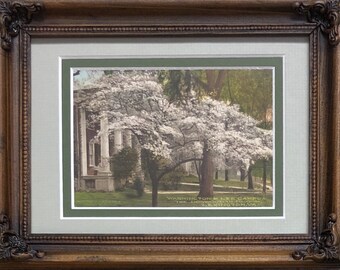 Washington & Lee Generals Framed Vintage Postcard