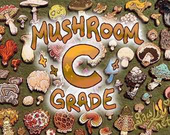 Mushroom Trove Seconds: Mystery C Grades [Emaille Pins]