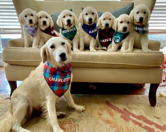 Personalized Pet Bandanas, Pet Bandana, Pet Name, Pet Neckerchief, Dog Bandana