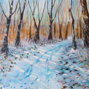 Snowy Trail