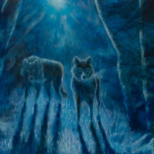 Night in the Wild