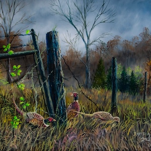 The Old Fence line