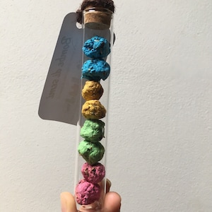 Set di bombe di semi di carta riciclata da piantare.Bombe biologiche di semi piantabili. Coltiva in casa anche d'inverno.