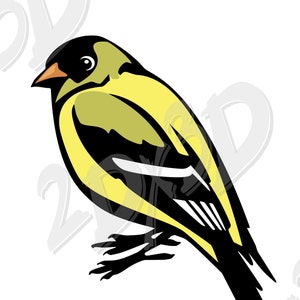 Vector BIRD, Eastern Goldfinch, SVG, ai, eps, png, pdf, jpg, colored Download files sparrow, Digital, graphical, discount coupons