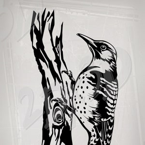 Vector VOGEL, noordelijke flikkering, ai, eps, pdf, svg, dxf, png, jpg download, digitaal beeld, specht, kortingsbonnen