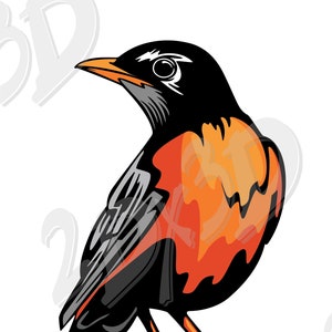 Vector BIRD, American robin, SVG, ai, eps, png, pdf, jpg Download files, colored bird, Digital, graphical, discount coupons