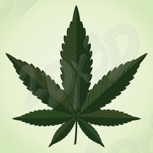 Feuille de vecteur, flore, Acer palmatum, AI, eps, pdf, svg, png, jpg téléchargement, image numérique, image graphique, coupons de réduction