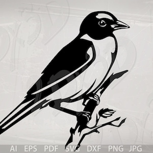 Vector BIRD, Eastern Bluebird, ai, eps, pdf, svg, dxf, png, jpg Descargar, Imagen digital, cupones de descuento