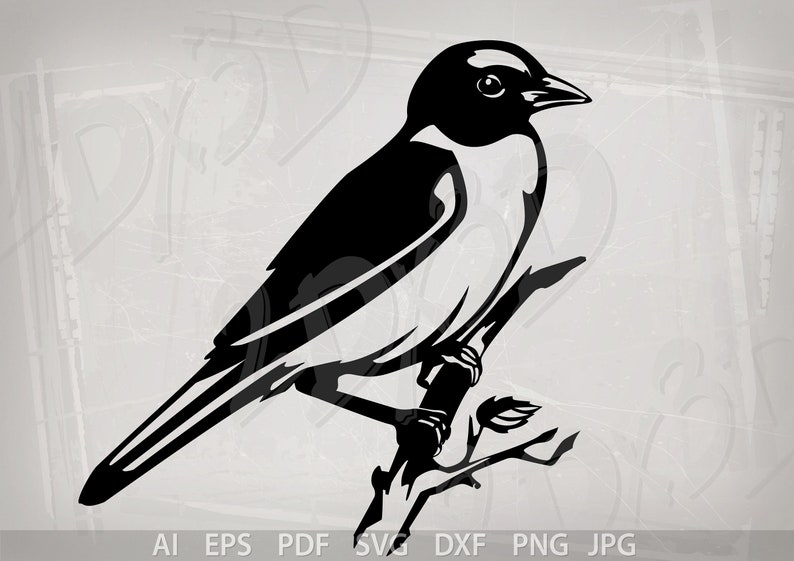 Vector BIRD Eastern Bluebird Ai Eps Pdf Svg Dxf Png | Etsy