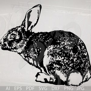 Vector CONEJO, Ai, eps, pdf, svg, dxf, png, jpg Descargar, animal, Pascua, cupones de descuento