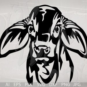 Vector BRAHMAN CALF head SVG cow heifer ai eps pdf png jpg Download, Digital image, graphical image, animal, discount coupons