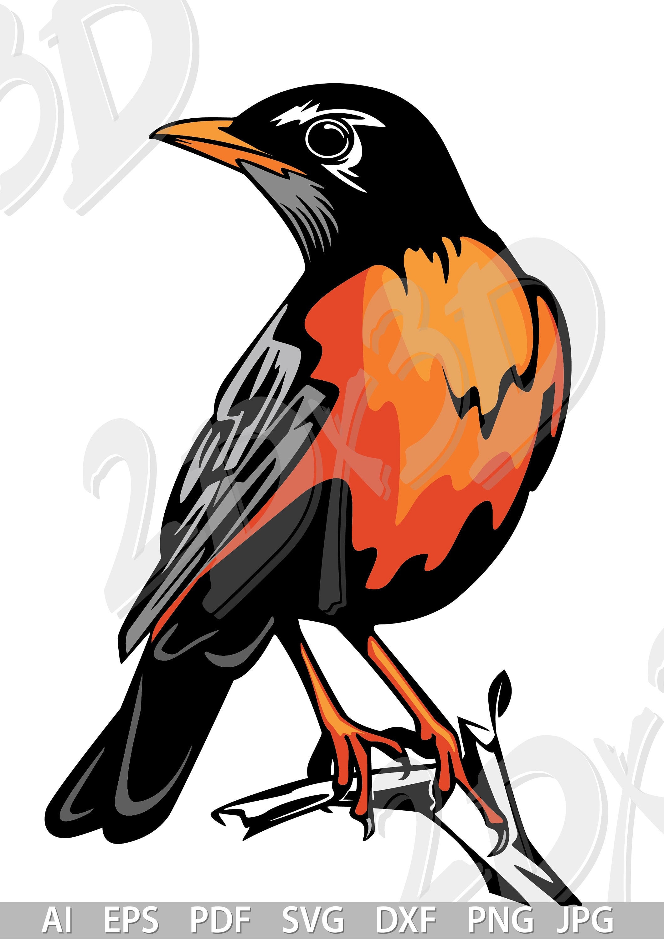 Vector BIRD, American robin, SVG, ai, eps, png, pdf, jpg Download files, colored bird, Digital, graphical, discount coupons