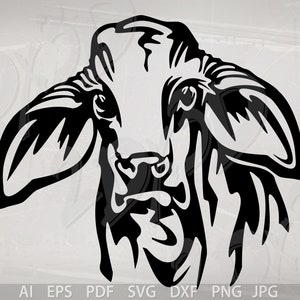 ベクター BRAHMAN CALF head SVG ai eps pdf png jpg ダウンロード、デジタル画像、グラフィック画像、動物、割引クーポン