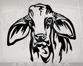 Vector BRAHMAN CALF head SVG ai eps pdf png jpg Download, Digital image, graphical image, animal, discount coupons