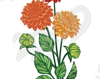 Vector FLOWER dahlia, flora just for print, AI, eps, pdf, jpg, svg, dxf, png Download, Digital image, graphical image