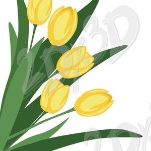 Tulipes vectorielles jaunes et noires, téléchargement, image numérique, image graphique AI eps dxf png pdf svg jpg - 20 x 10 po