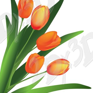 TULIPES vectorielles, travail sur ordinateur imprimable, téléchargement, image numérique, image graphique /juste pour l&#39;impression/, AI, eps, png, pdf, svg, jpg