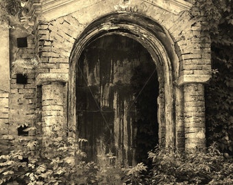 OLD DOOR antique, Photography /0376/, 8 JPG files Instant Download, sepia